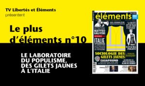 Le plus d'éléments 10