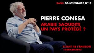 extrait Thinkerview