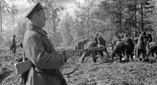 Revue Elements Staline Et Les Bourreaux De Katyn 1940