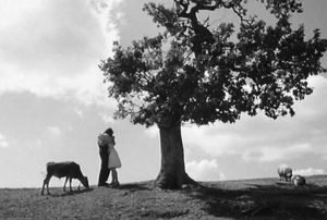 Avril est le film de fin d’études d’Otar Iosseliani, qui allait être amené à poursuivre sa carrière au cinéma jusqu’à aujourd’hui. Ce premier pas s’avéra toutefois peu encourageant puisque le moyen métrage fut interdit de distribution en URSS, la Géorgie appartenant alors à l’aire géopolitique de Moscou.