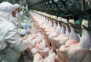 Alimentation industrielle