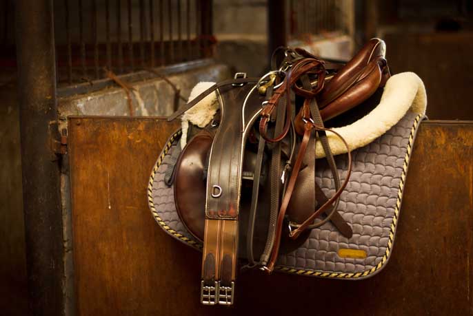 L’équitation, un sport de droite