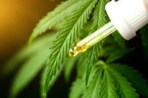 CBD : la France accro au bien-être