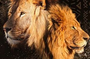 Lydéric Landry, prince de la jeunesse