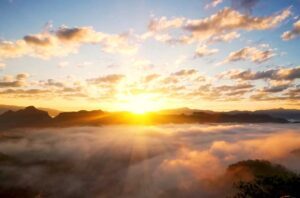 L'Aube des Formes et la Nuit sans langage