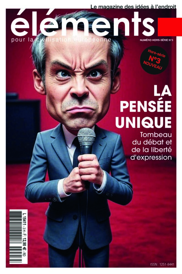 Mise en page 1 éléments HS n°3 la pensée unique