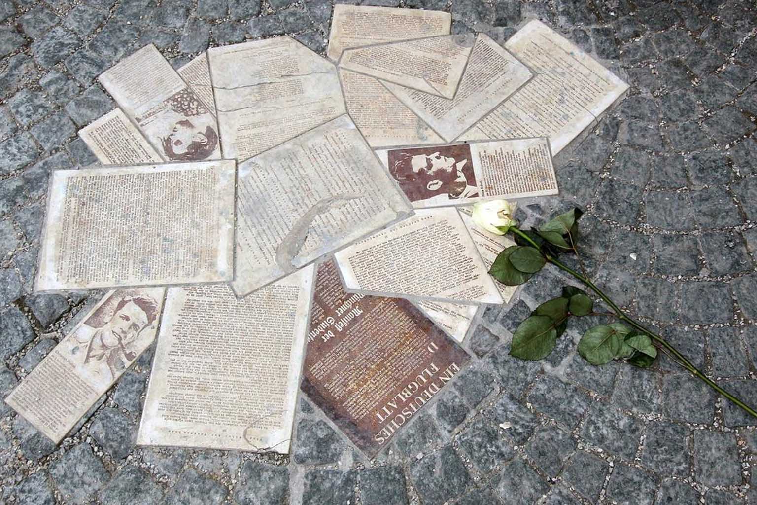 die-weiße-rose La Rose blanche est patriote